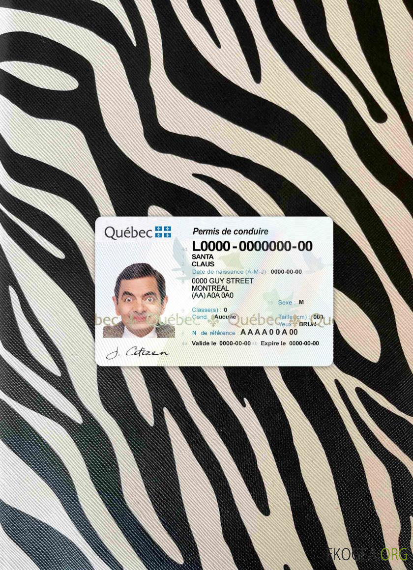 Canada Québec DL photolook DEVANT